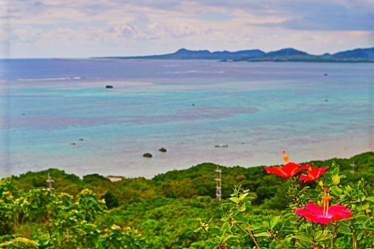 Little Mermaid Hotel Ishigakijima Ishigaki  Luaran gambar